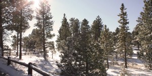 What do you like to do